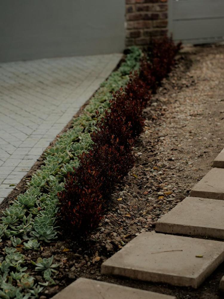 Arbour1 Guesthouse Джордж Екстериор снимка
